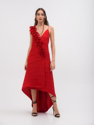 Daphne Valente | Lyric pleated ruffle appliqué dress