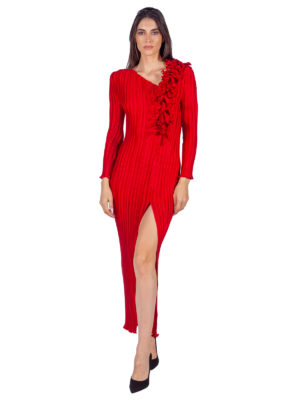 Daphne Valente | Exotic F red pleated ruffle appliqué dress